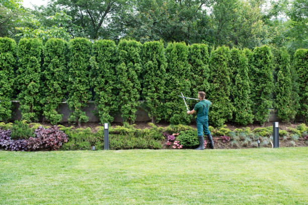 Lawn Maintenance Plans in Duquesne, PA